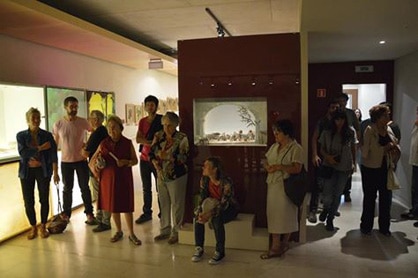 Vinseum: Visita guiada a l'exposició permanent